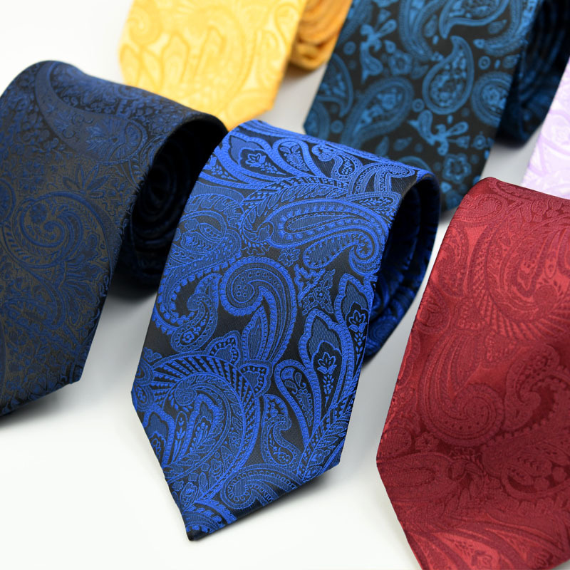 Manufacturer Popular Pattern Necktie Premium Paisley Ties for Mens Suit Low MOQ PT808